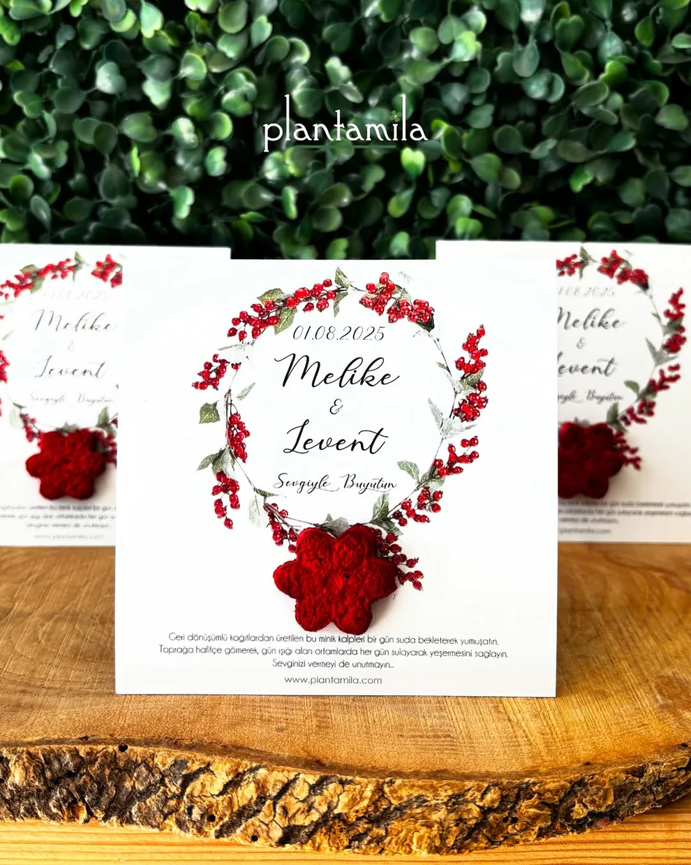 Plantamila - Kırmızı Çiçek Şekilli Tohum Kartı