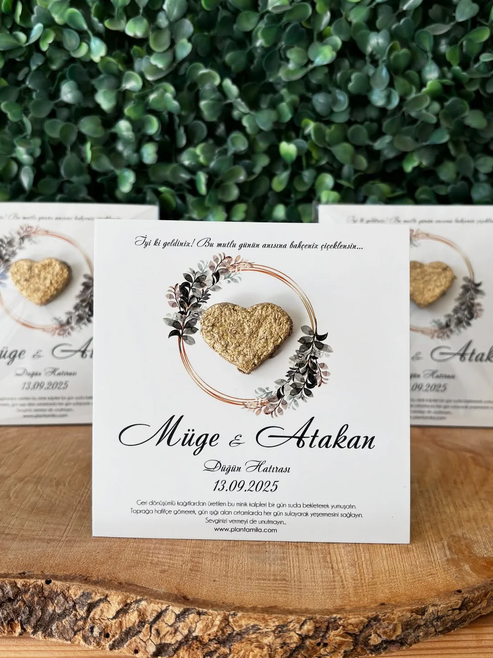 Plantamila - Gold Çiçek Halkalı Tohum Kartı