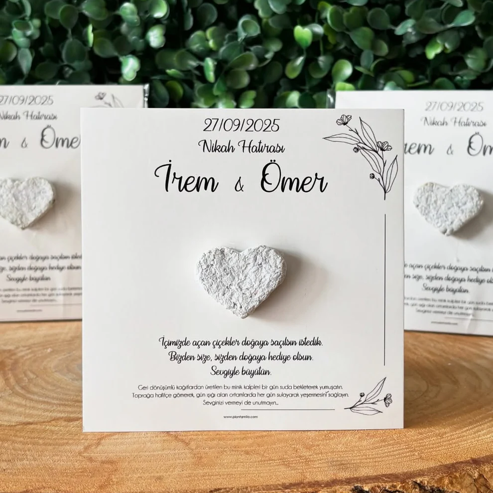 Plantamila - Beyaz Kalpli Minimal Tohum Kartı