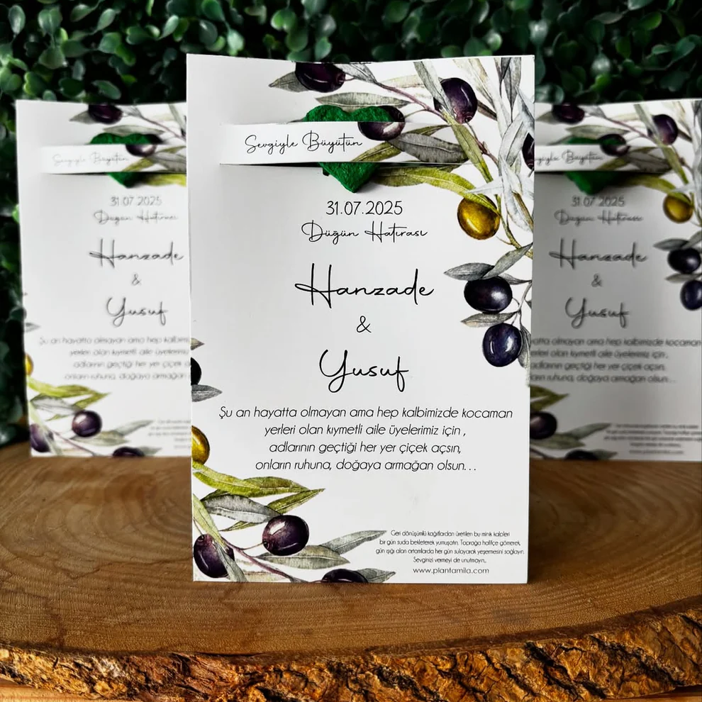 Plantamila - Zeytin Detaylı Tohum Kartı