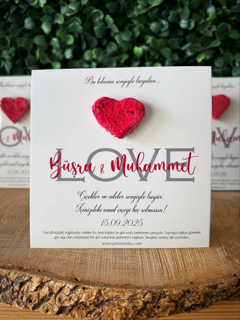 Plantamila - Kırmızı Kalpli Love Detaylı Tohum Kartı