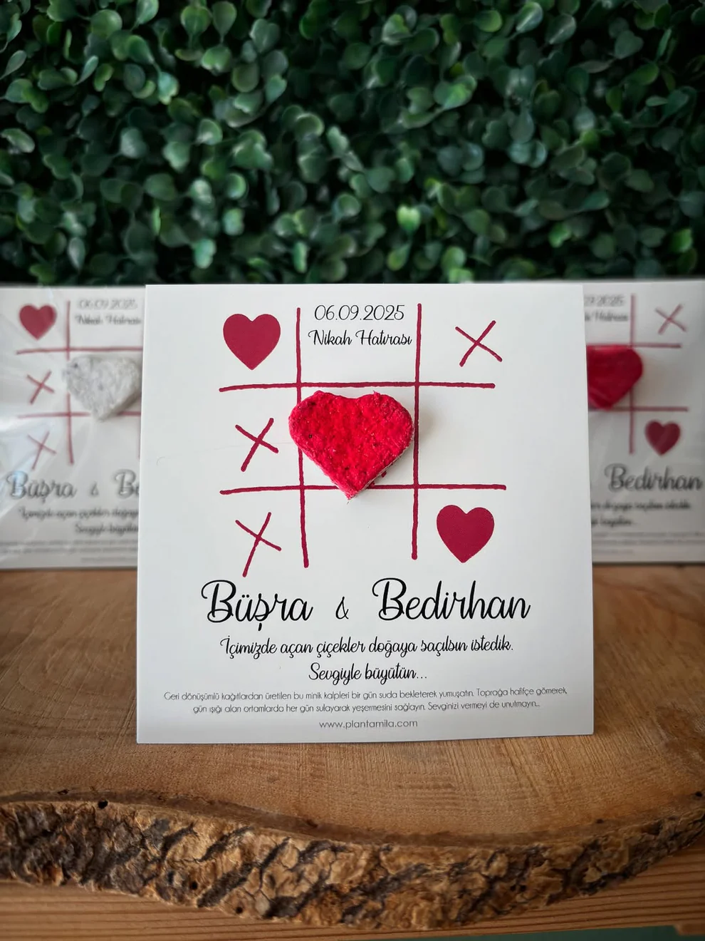 Plantamila - Kırmızı Kalpli Oyun Detaylı Tohum Kartı