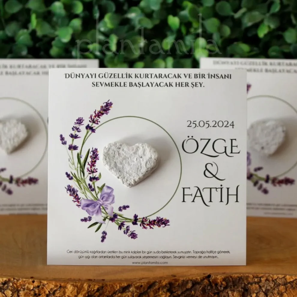 Plantamila - Beyaz Kalpli ve Çiçekli Tohum Kartı