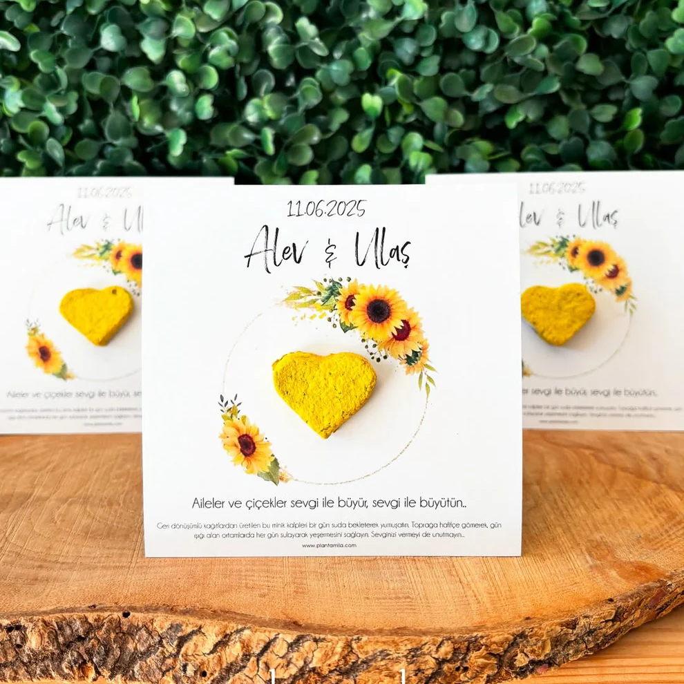 Plantamila - Sarı Ayçiçekli Tohum Kartı