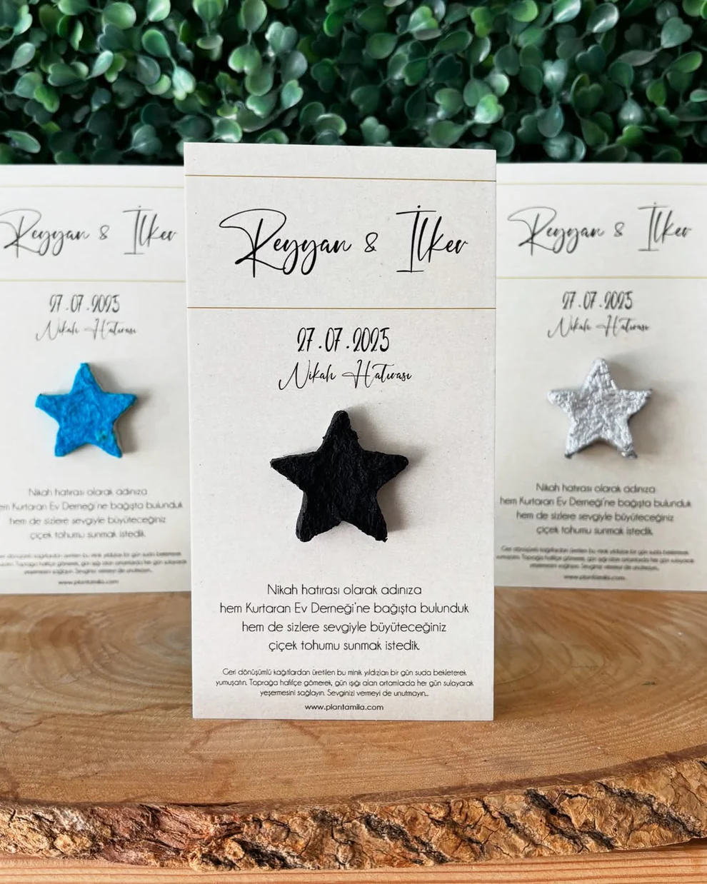 Plantamila - Renkli Yıldızlı Tohum Kartı