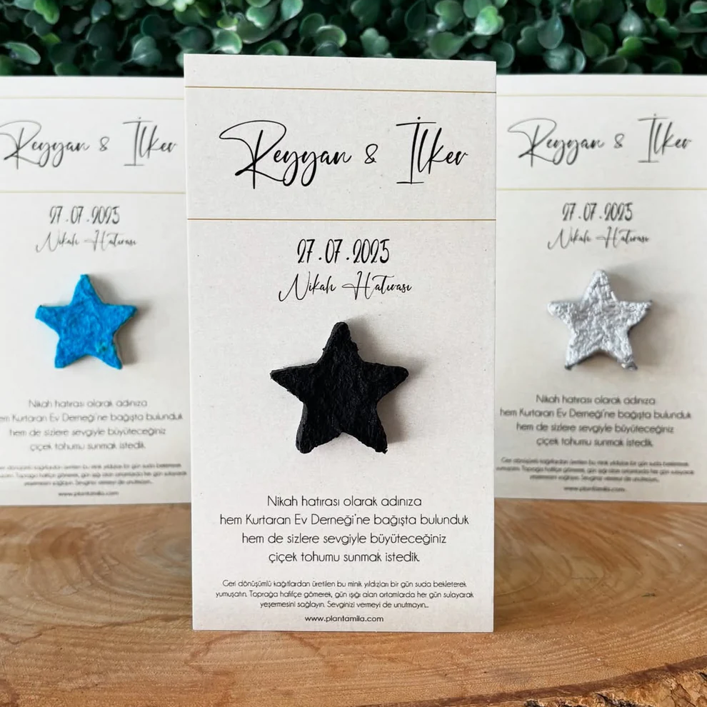 Plantamila - Renkli Yıldızlı Tohum Kartı