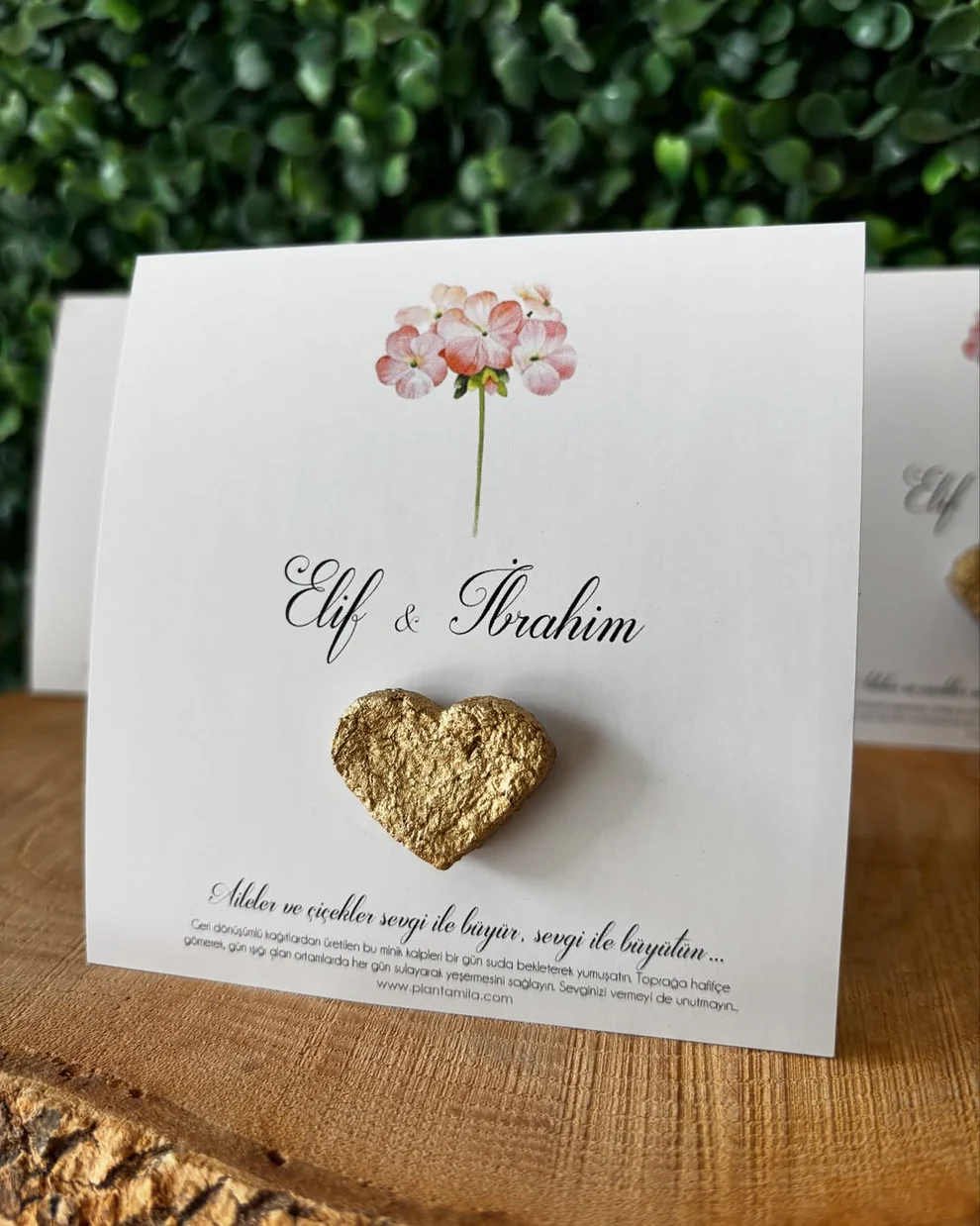 Plantamila - Gold Kalpli Tohum Kartı