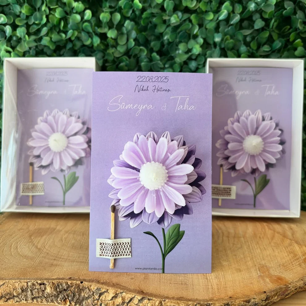 Plantamila - Lila Papatya Hediyelik Mum