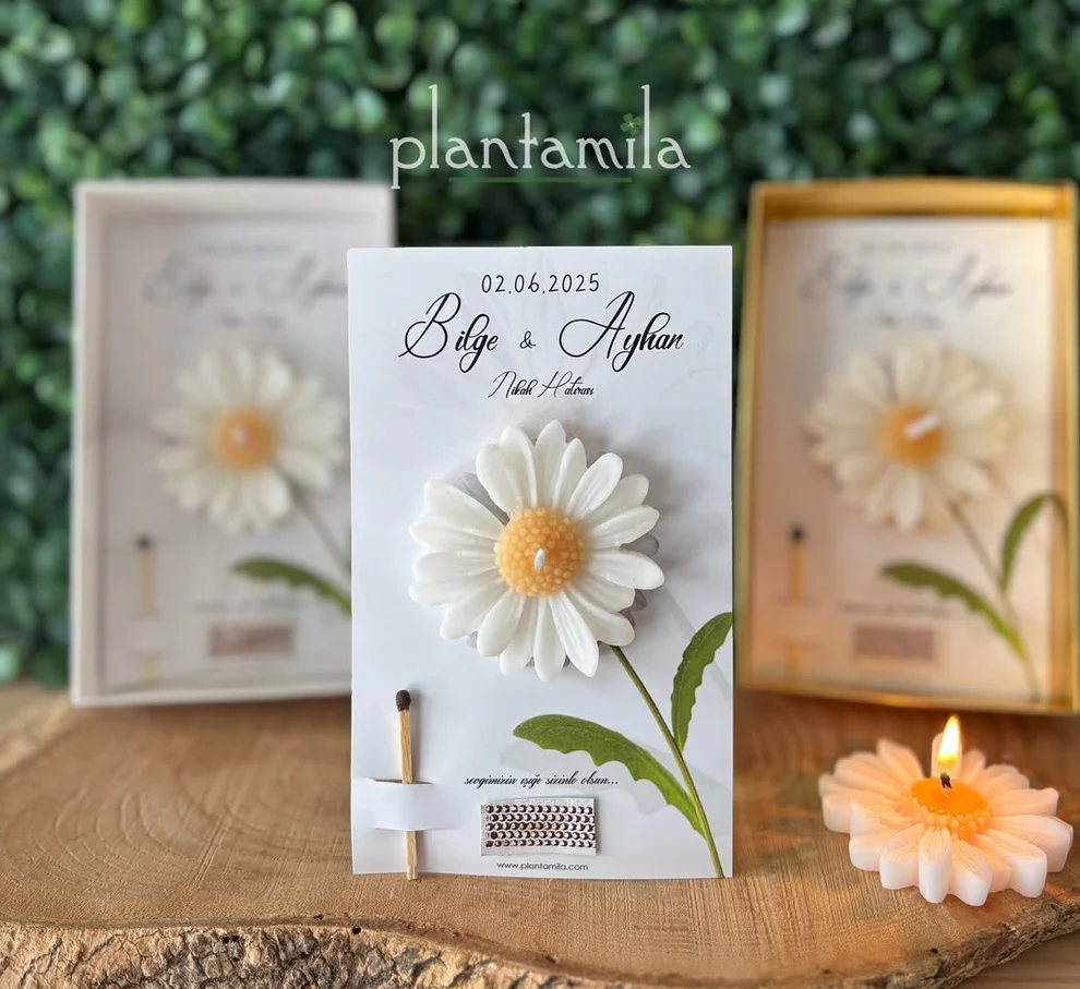 Plantamila - Beyaz Papatya Hediyelik Mum