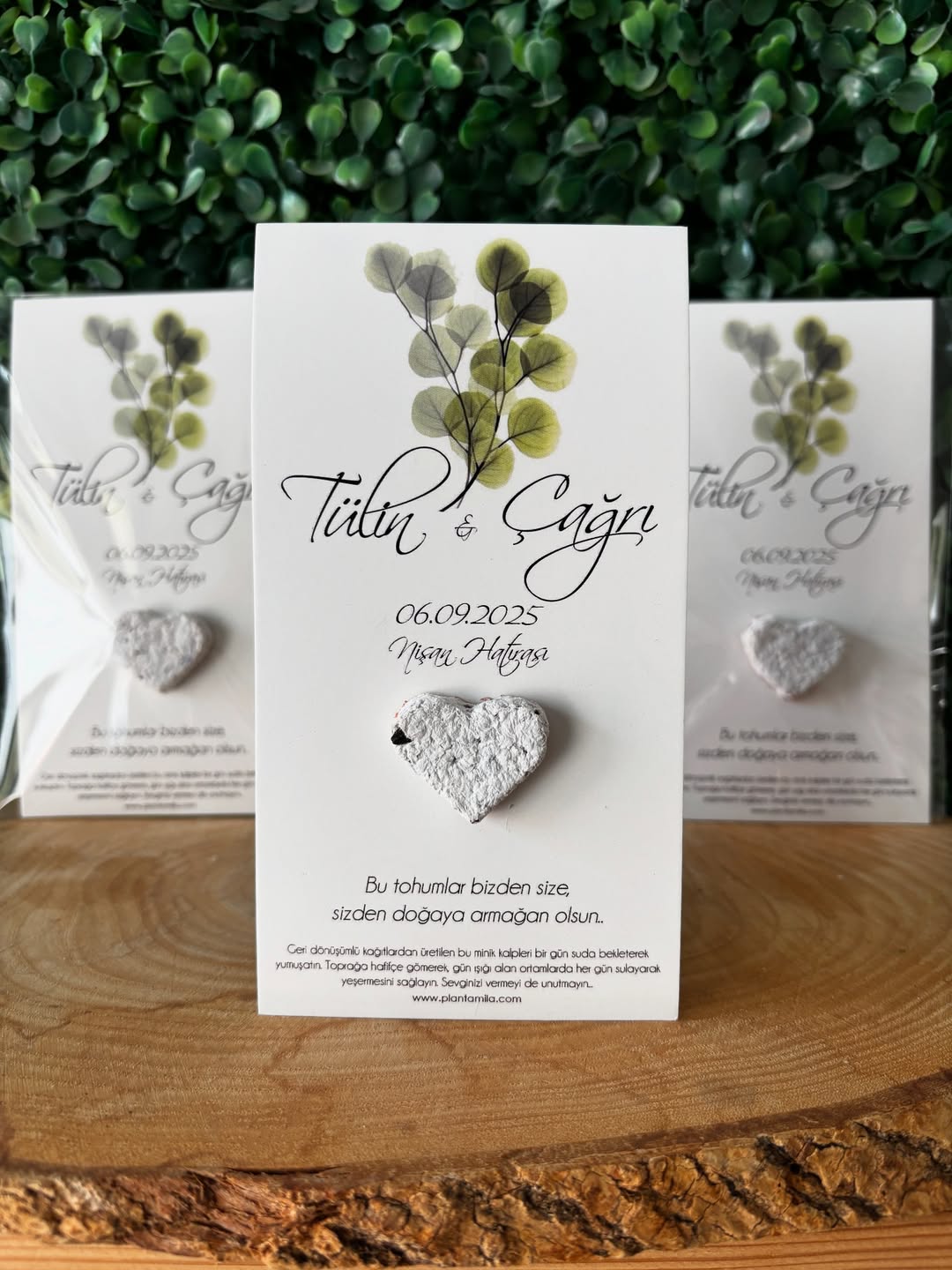 Plantamila - Beyaz Kalpli Yaprak Desenli Tohum Kartı