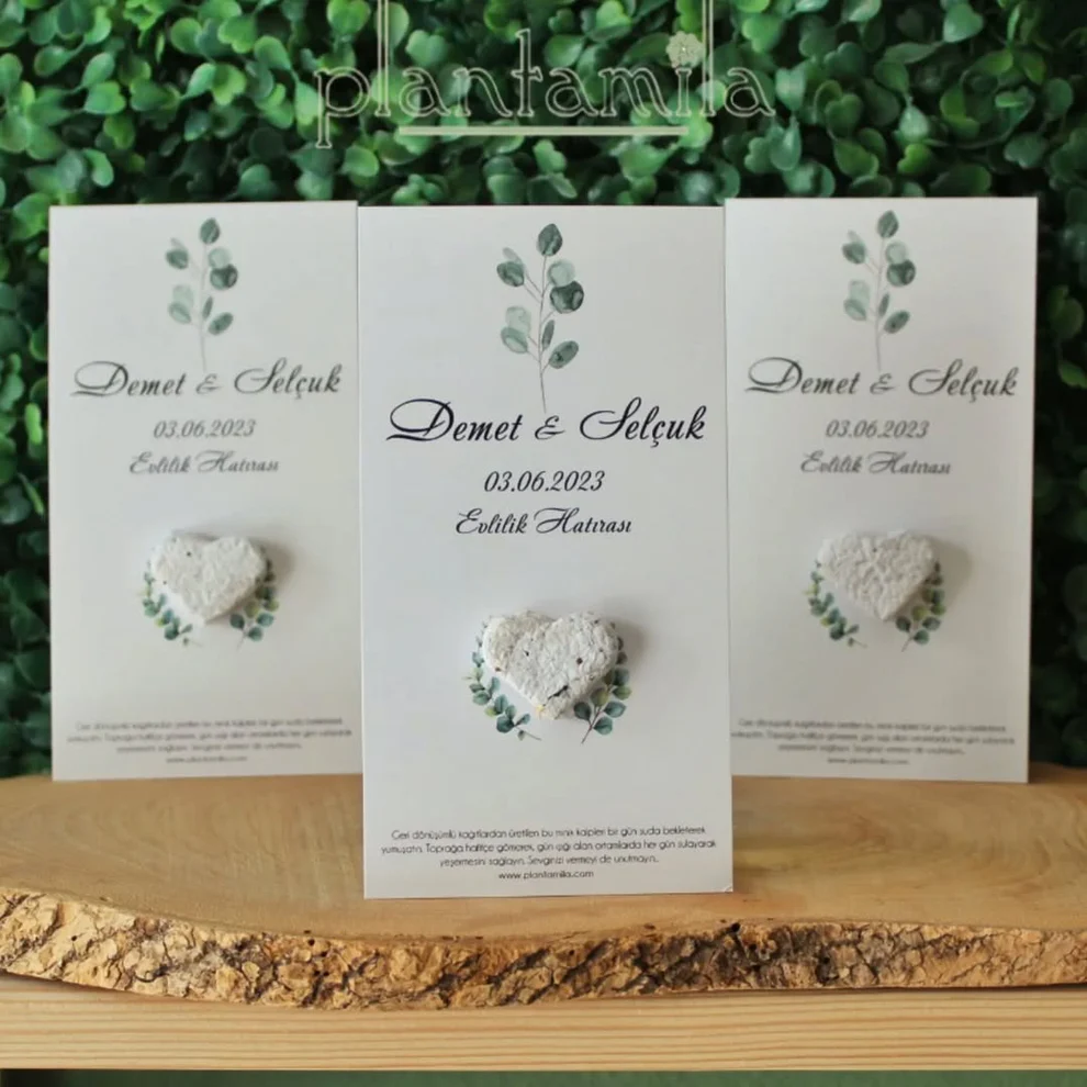 Plantamila - Beyaz Sade Kalpli Tohum Kartı