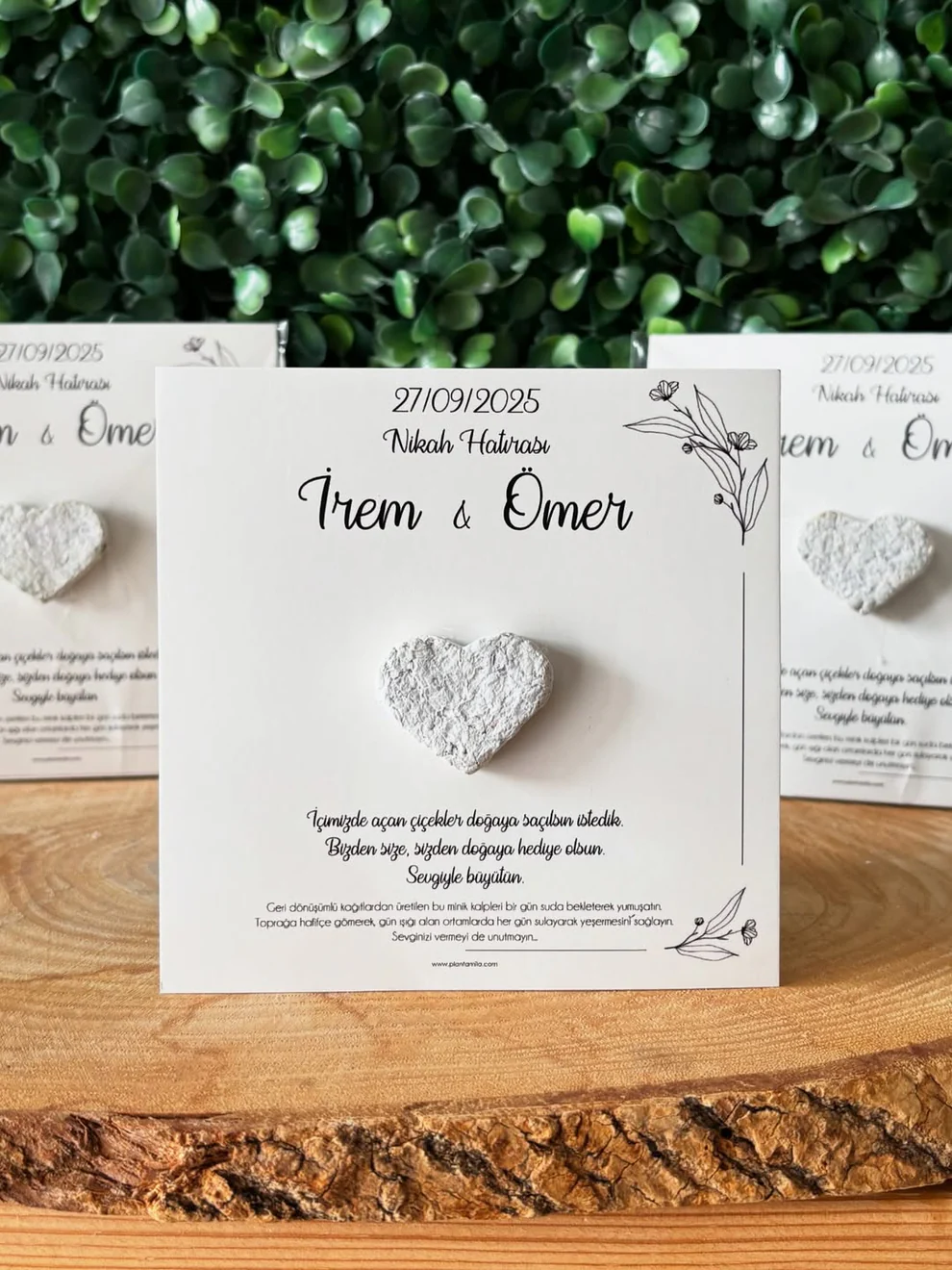 Plantamila - Beyaz Kalpli Minimal Tohum Kartı