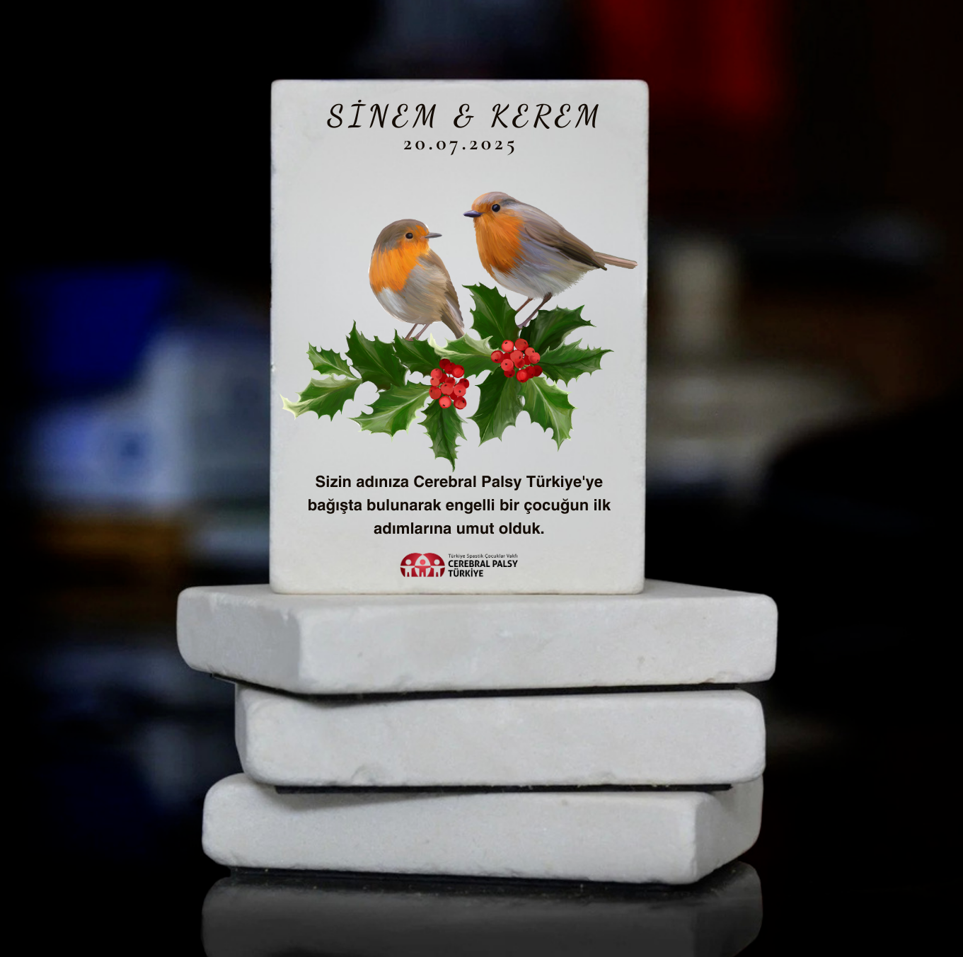 Türkiye Spastik Çocuklar Vakfı - Kuş Desenli Taş Magnet