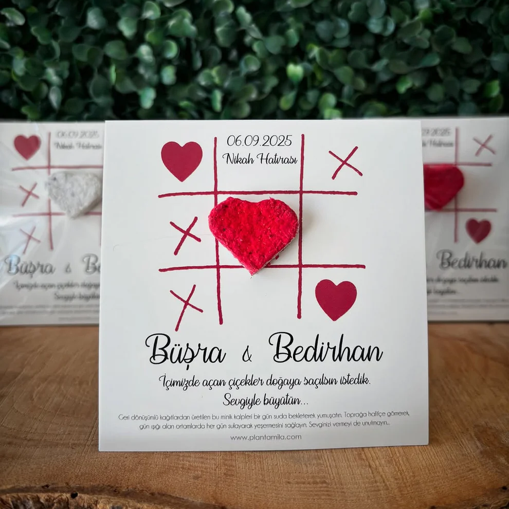 Plantamila - Kırmızı Kalpli Oyun Detaylı Tohum Kartı