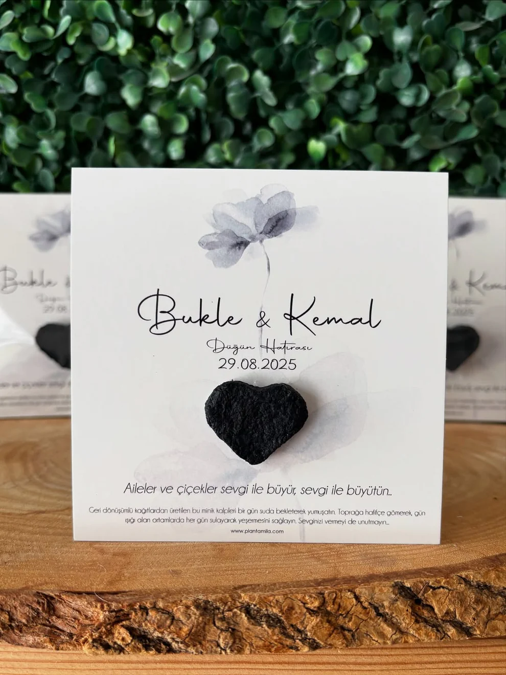 Plantamila - Siyah Kalpli Şık Tohum Kartı