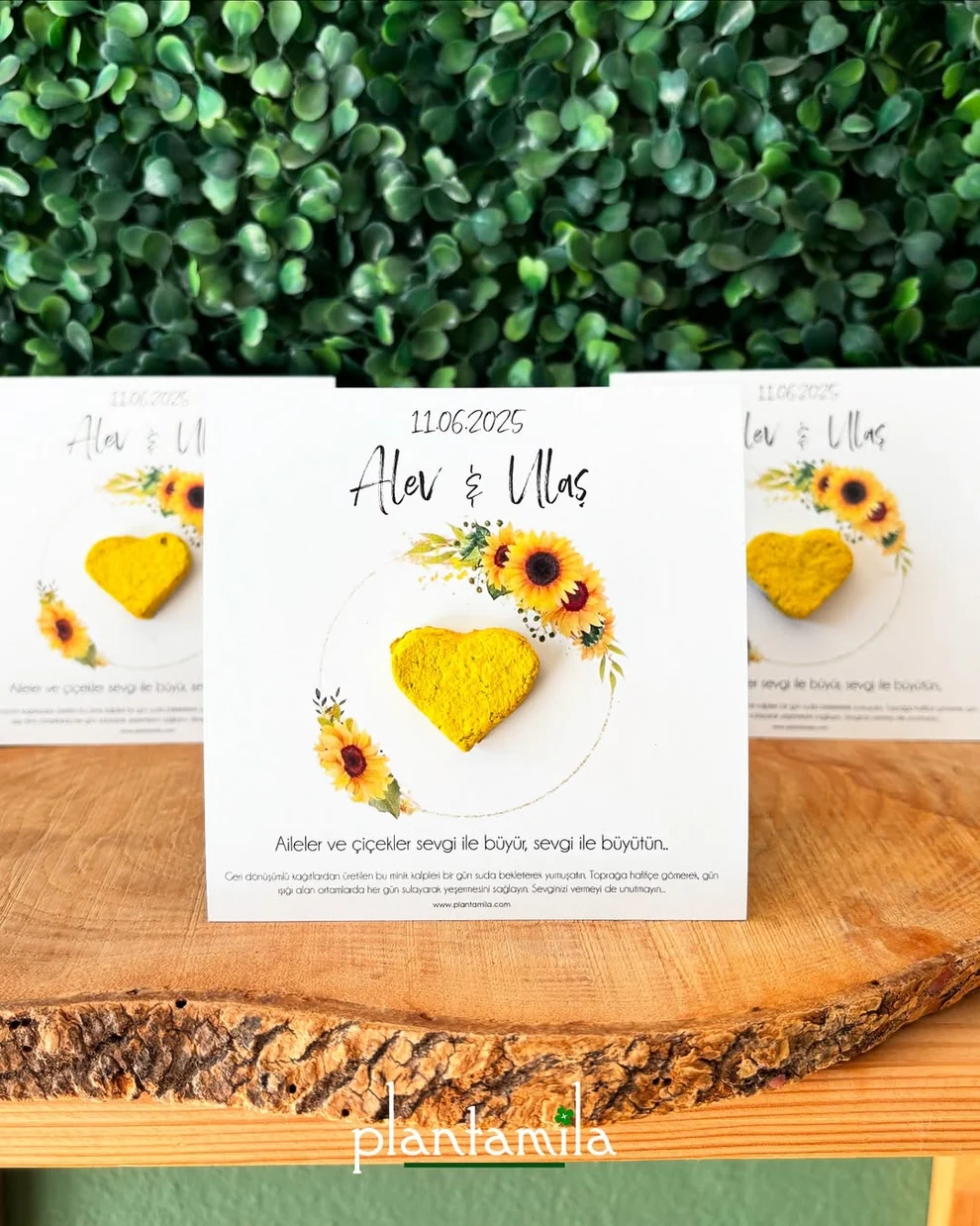 Plantamila - Sarı Ayçiçekli Tohum Kartı