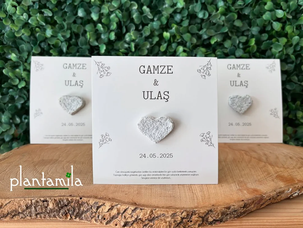 Plantamila - Beyaz Kalpli Sade Tohum Kartı