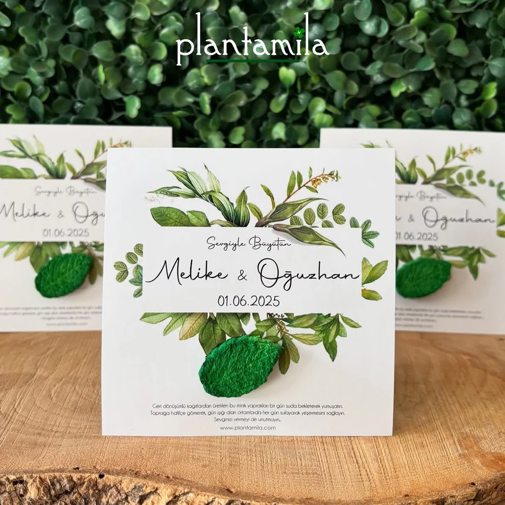 Plantamila - Yeşil Yapraklı Tohum Kartı