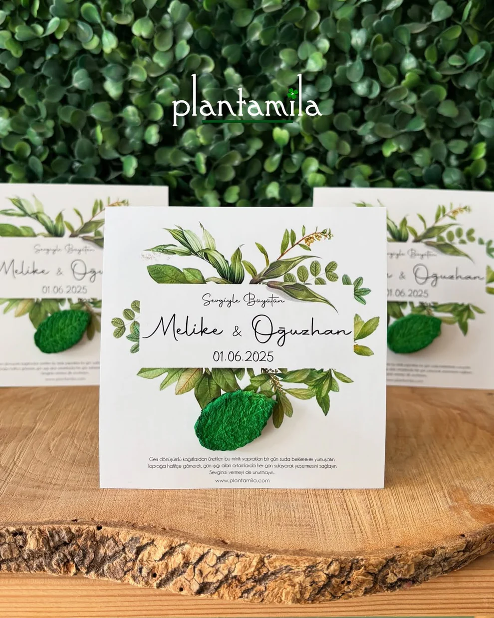 Plantamila - Yeşil Yapraklı Tohum Kartı