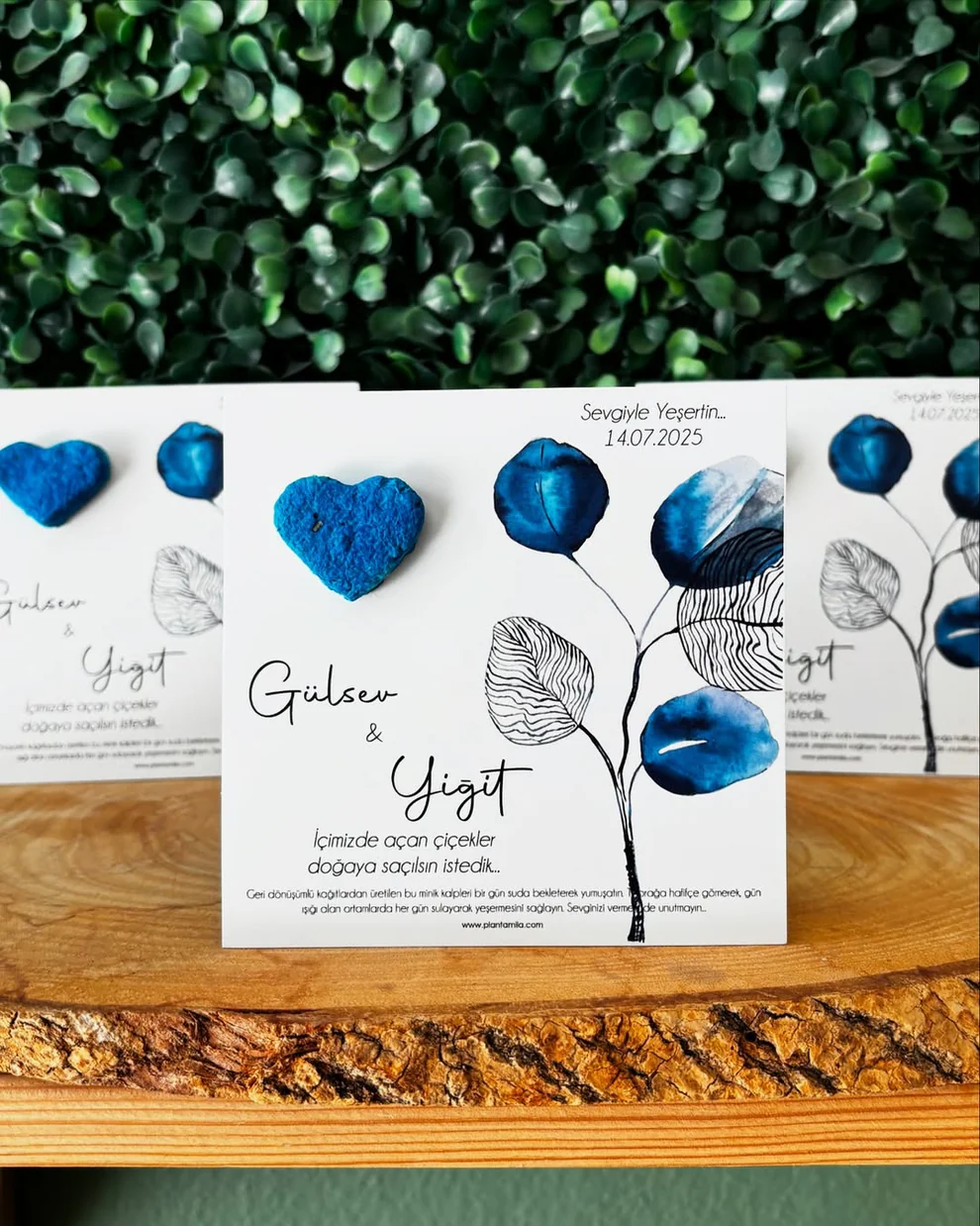 Plantamila - Mavi Kalpli Tohum Kartı