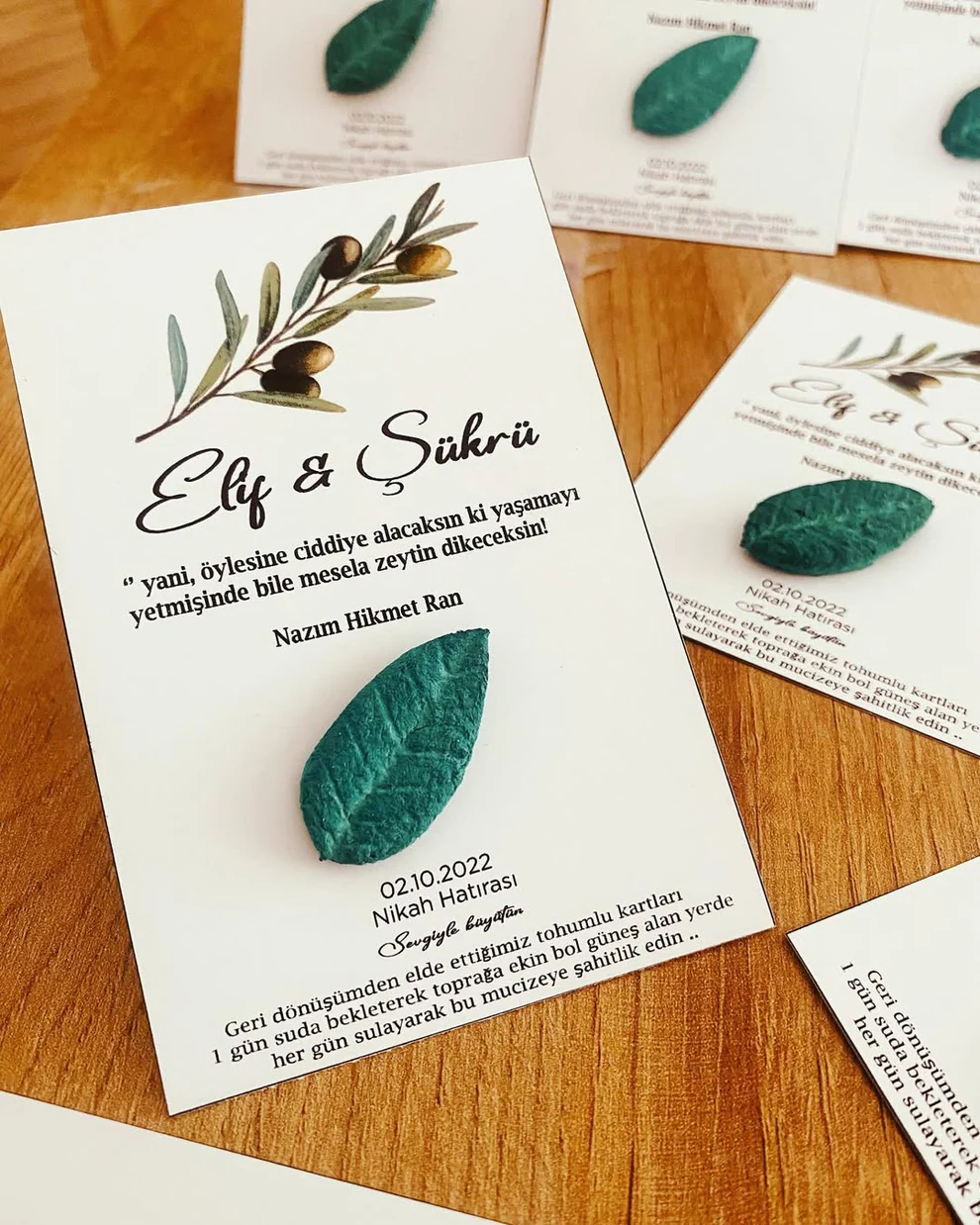 My Design - Yeşil Yapraklı Zeytin Dalı Detaylı Tohum Kartı