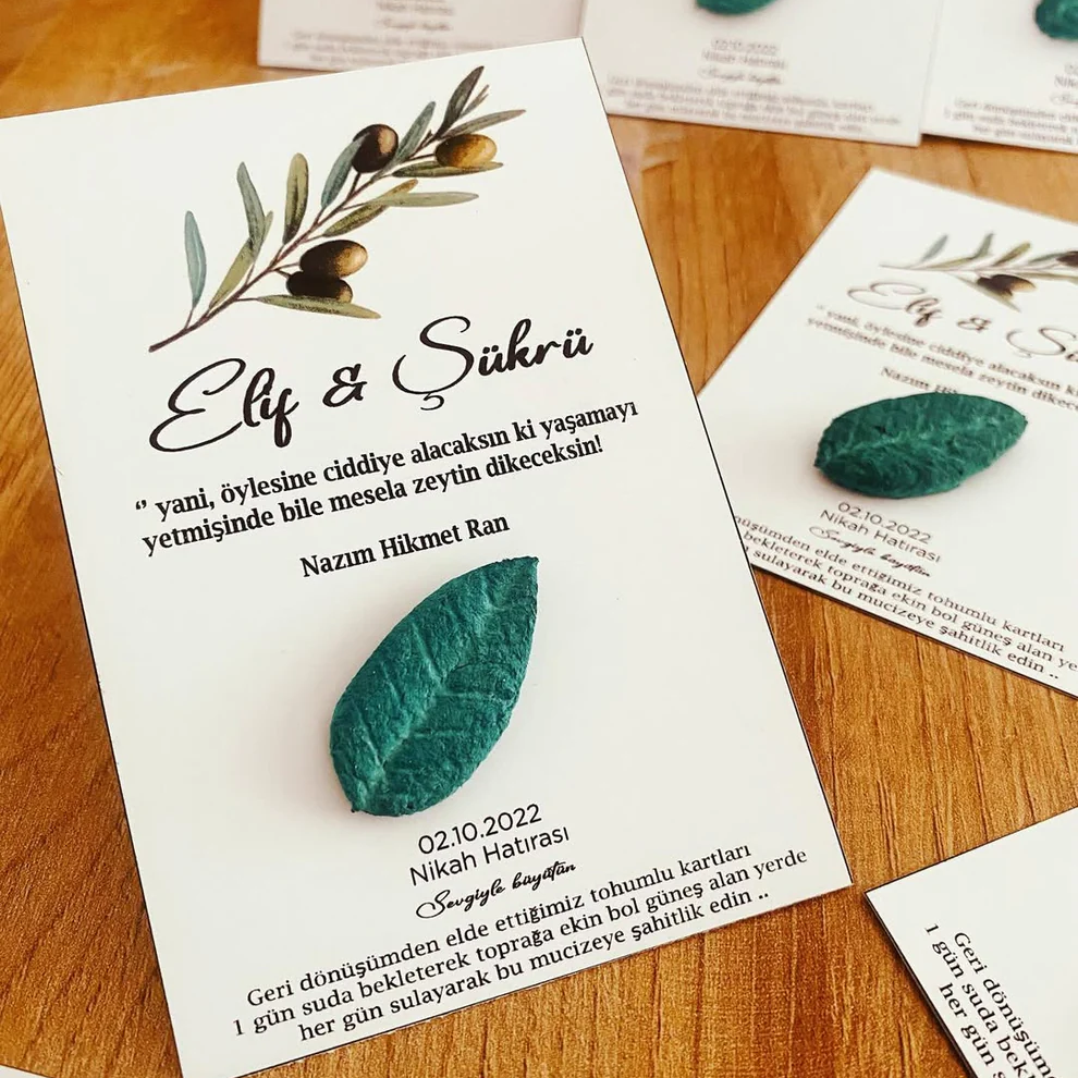 My Design - Yeşil Yapraklı Zeytin Dalı Detaylı Tohum Kartı