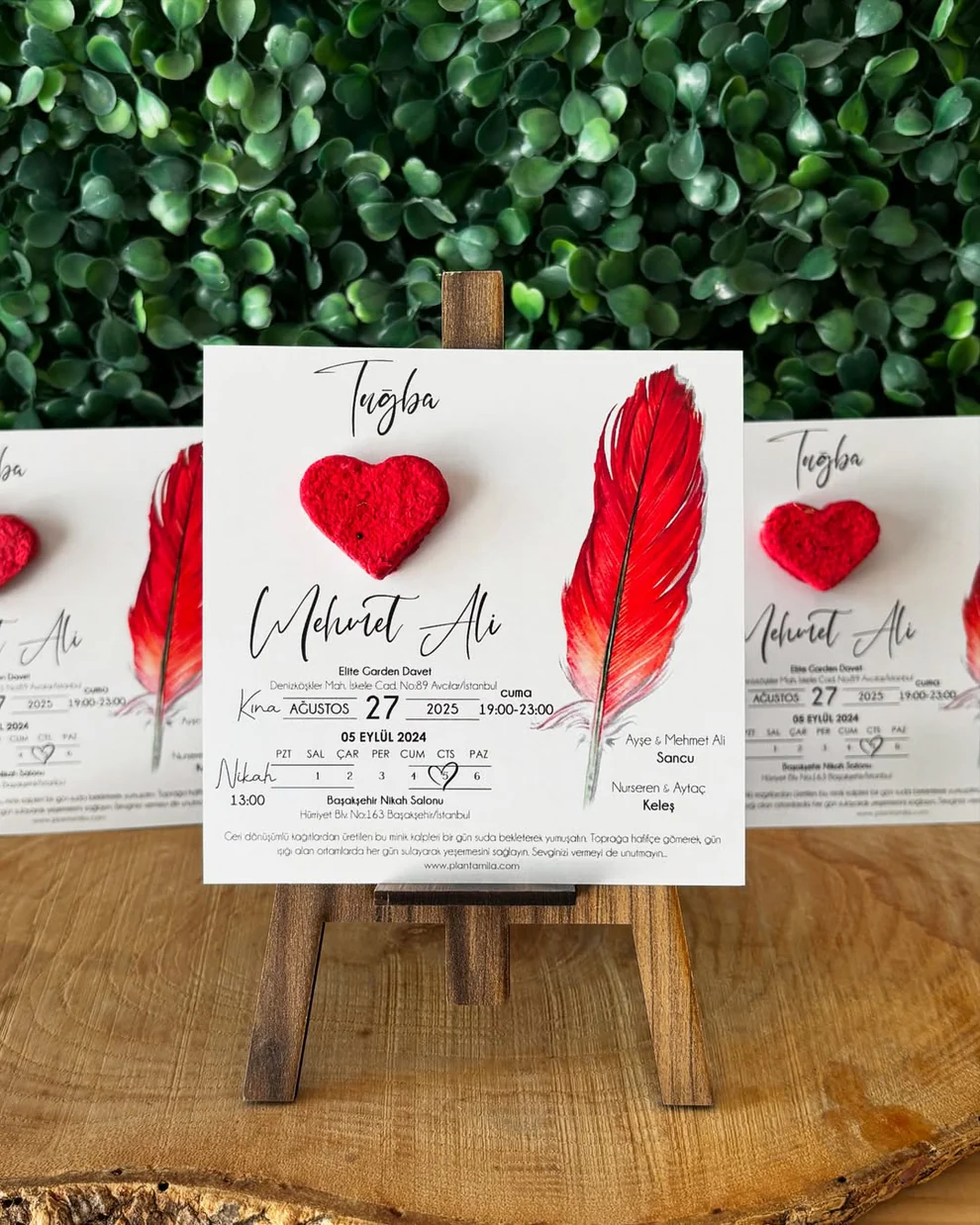 Plantamila - Kırmızı Kuş Tüyü Tohum Kartı