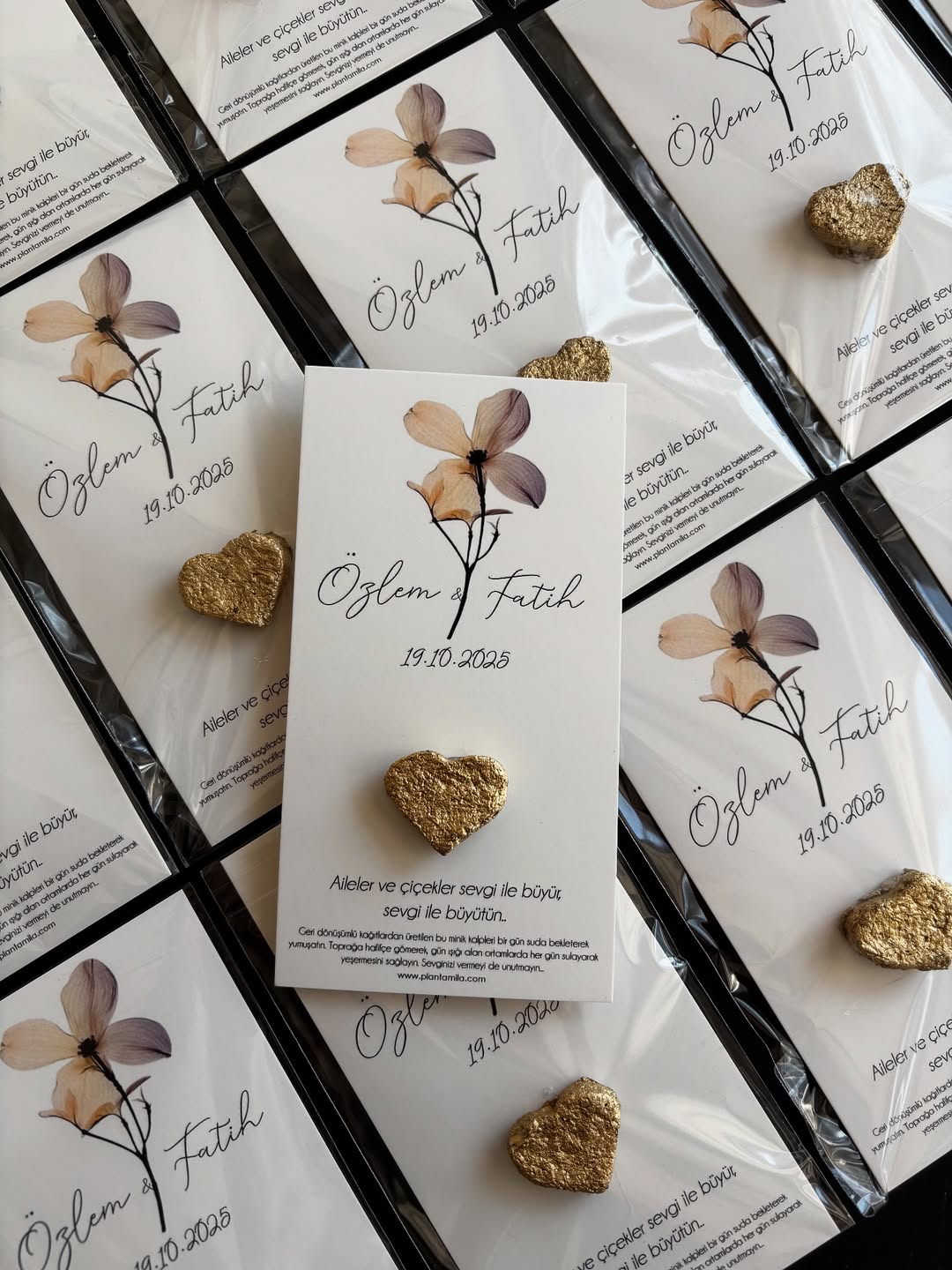 Plantamila - Gold Kalpli Sonbahar Çiçeği Tohum Kartı