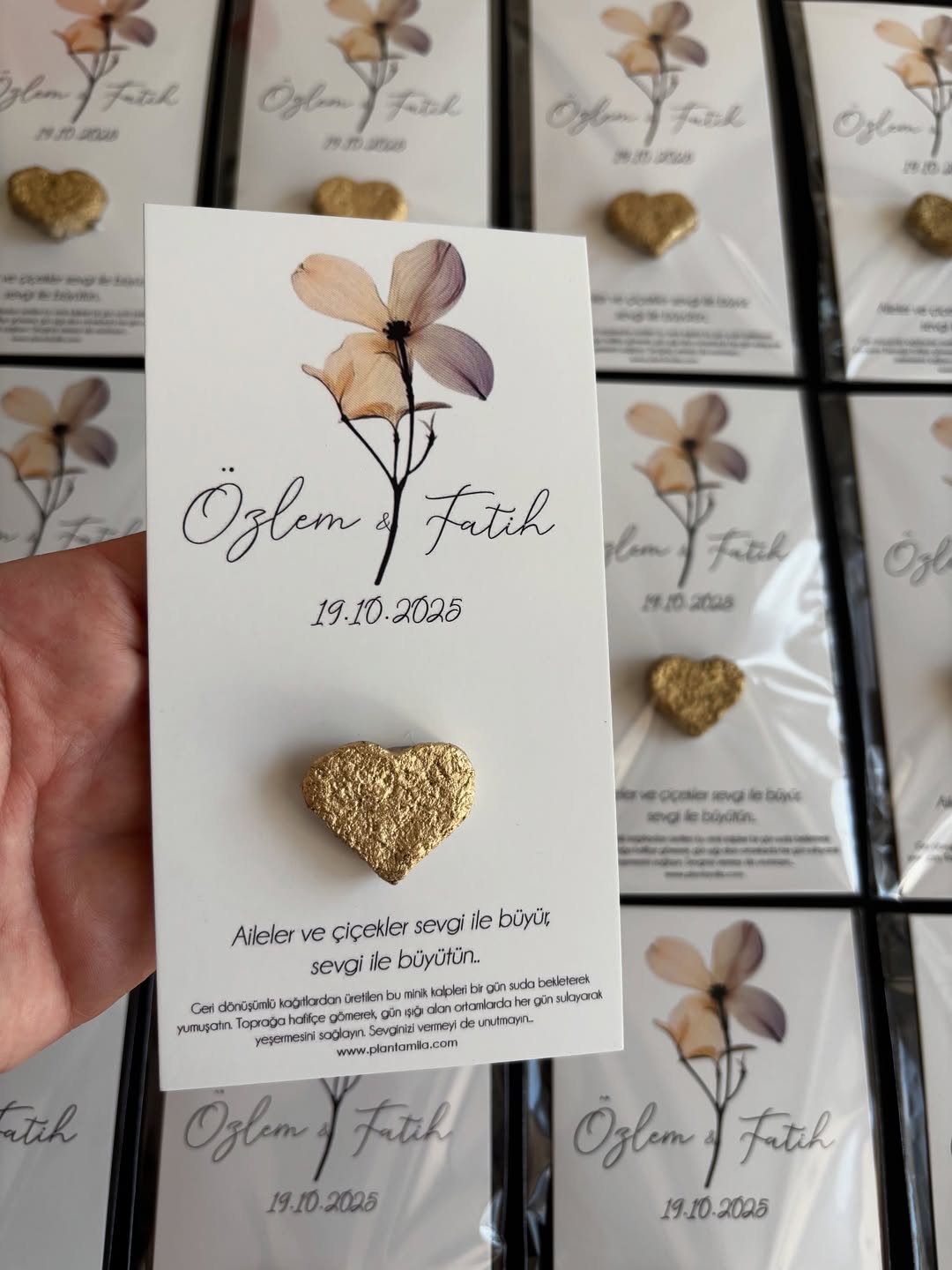 Plantamila - Gold Kalpli Sonbahar Çiçeği Tohum Kartı