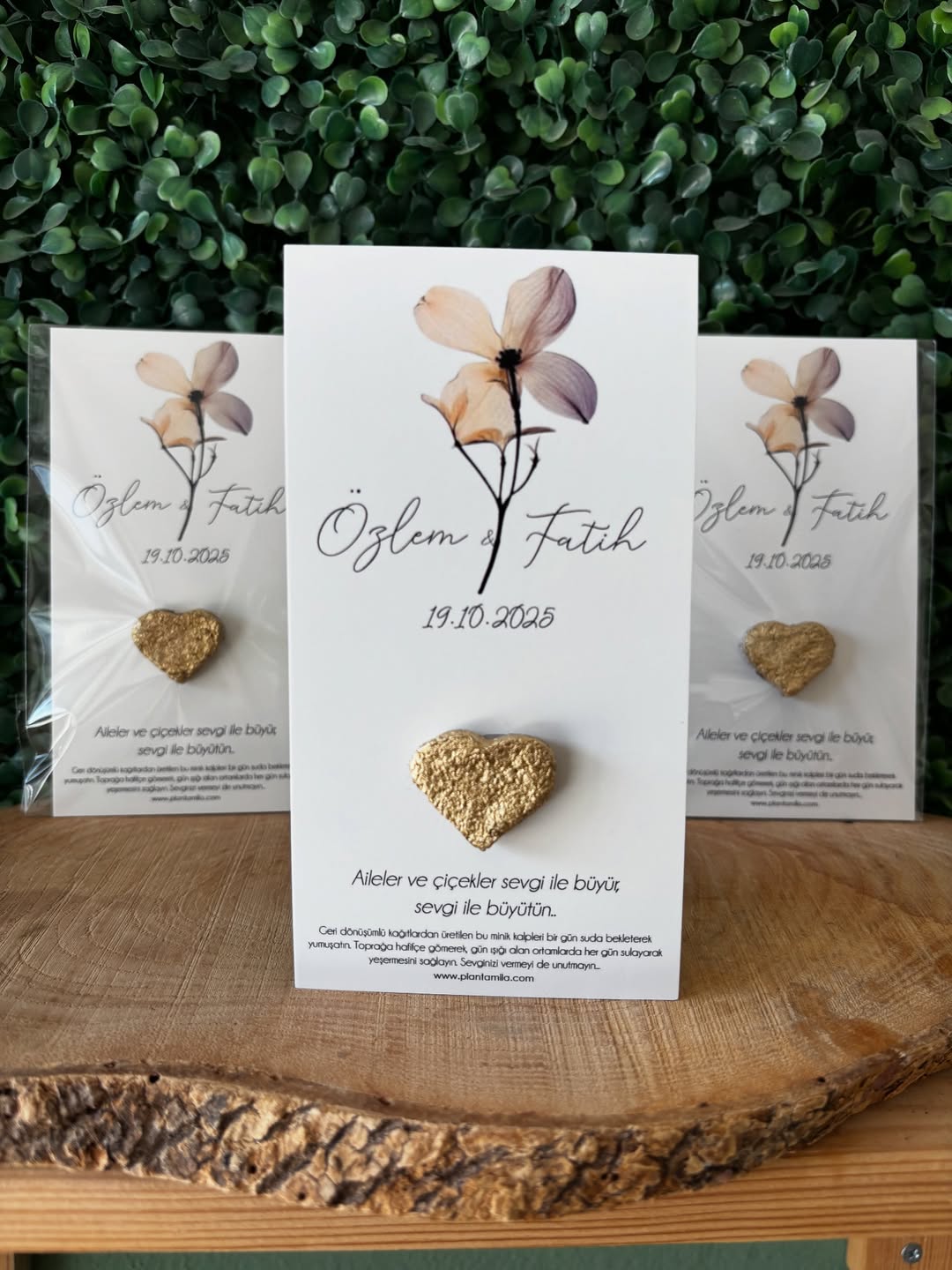 Plantamila - Gold Kalpli Sonbahar Çiçeği Tohum Kartı