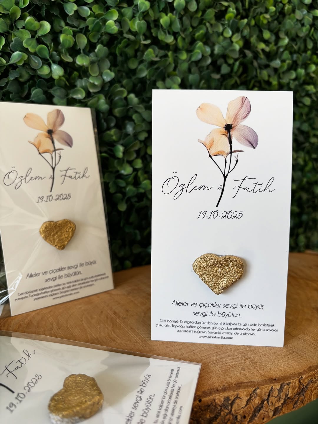 Plantamila - Gold Kalpli Sonbahar Çiçeği Tohum Kartı