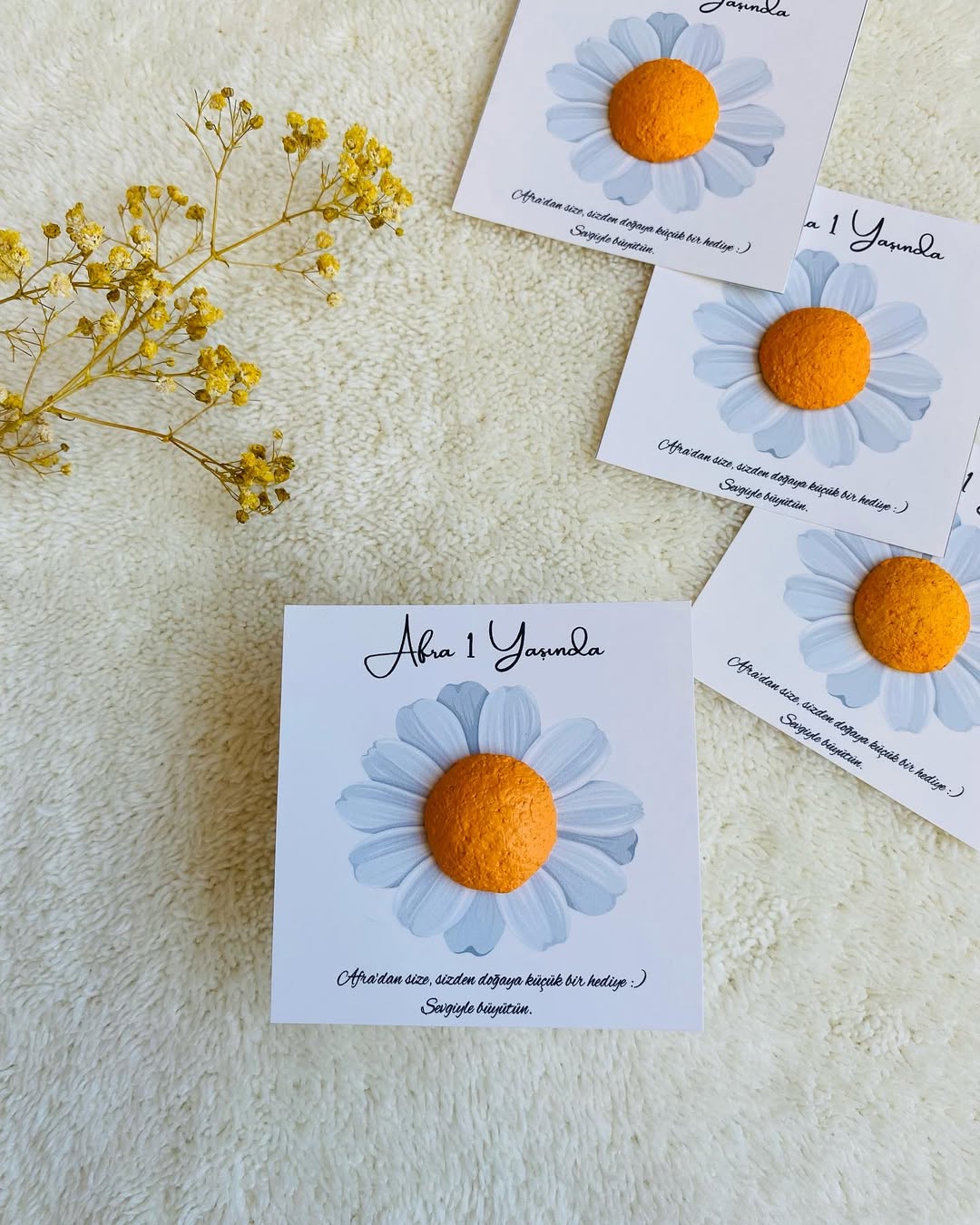 My Design - Sade Papatya Desenli Doğum Günü Tohum Kartı