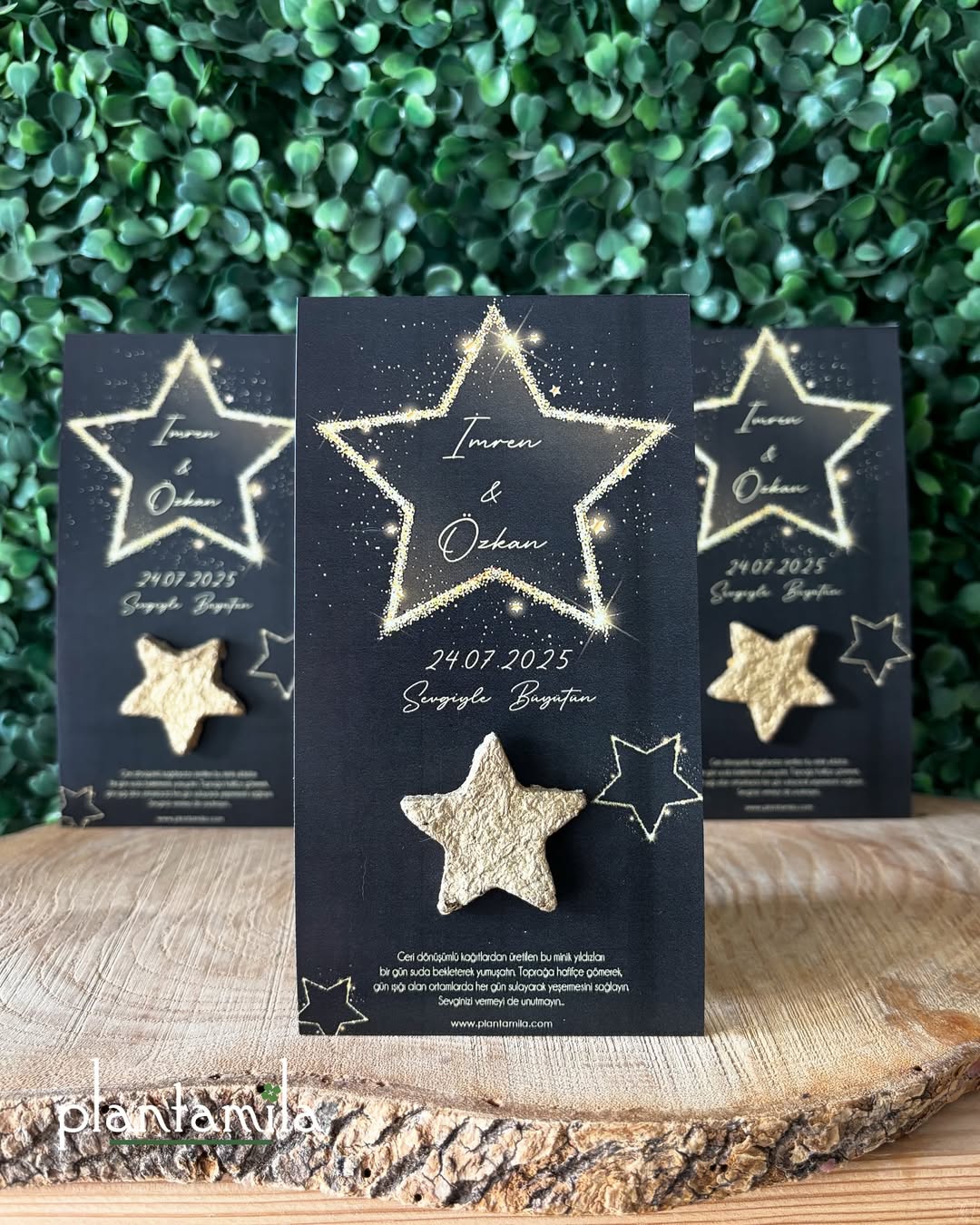 Plantamila - Gold Yaldız Detaylı Yıldızlı Tohum Kartı
