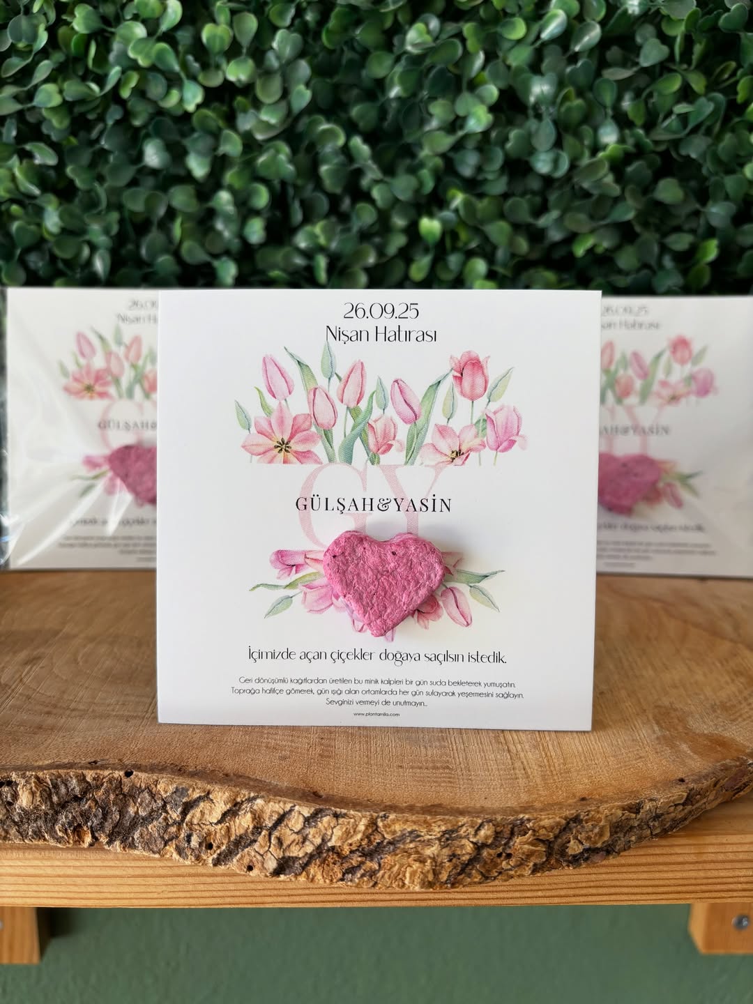 Plantamila - Pembe Lale Detaylı Kalp Şekilli Tohum Bombası Kartı