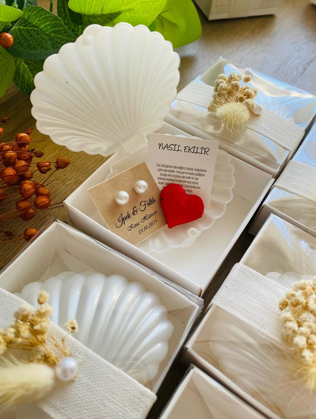 My Design - İstiridye Kutuda İnci Küpeli Kırmızı Kalpli Tohum Bombası