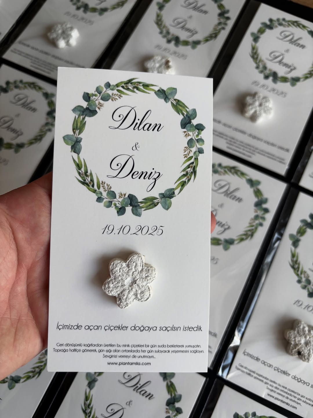 Plantamila - Yeşil Bahar Dalı Dairesi Detaylı Beyaz Çiçekli Tohum Kartı