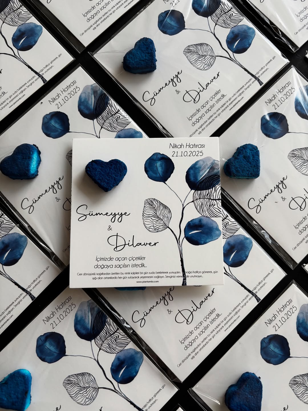Plantamila - Lacivert Kalpli Tohum Bombalı Yaprak Detaylı Kart