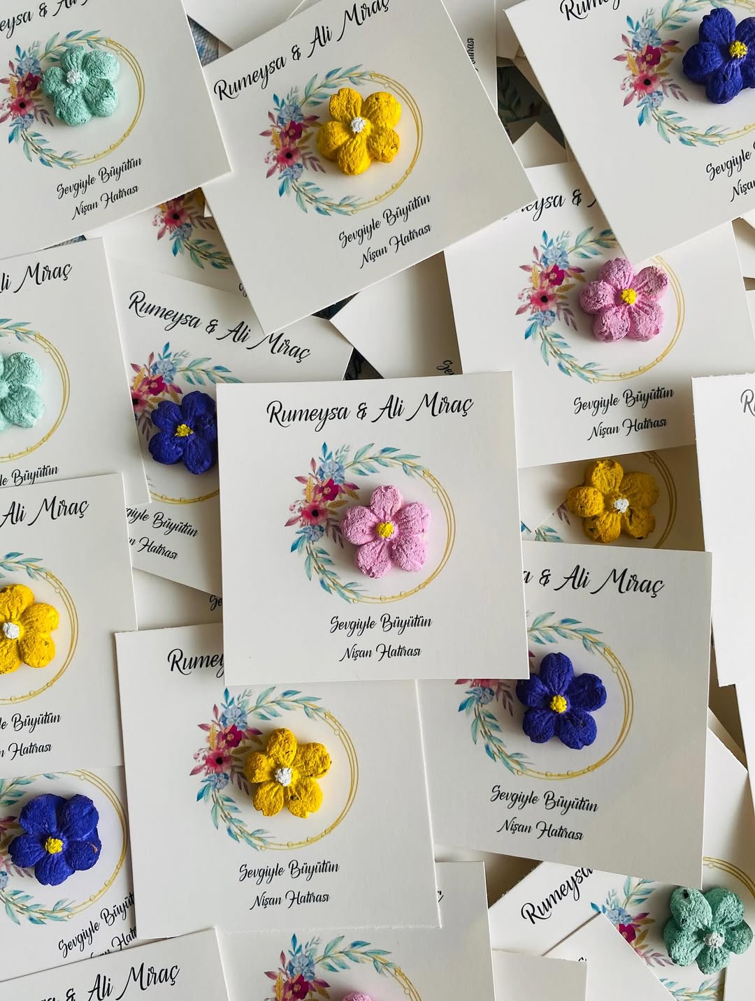 My Design - Renkli Kır Çiçekleri Detaylı Tohum Kartı