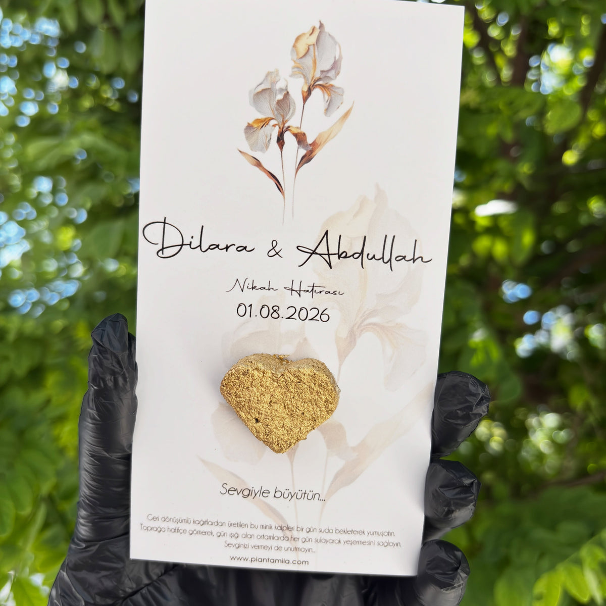 Plantamila - Gold Kalpli Beyaz İnce Çiçek Detaylı Tohumlu Kart