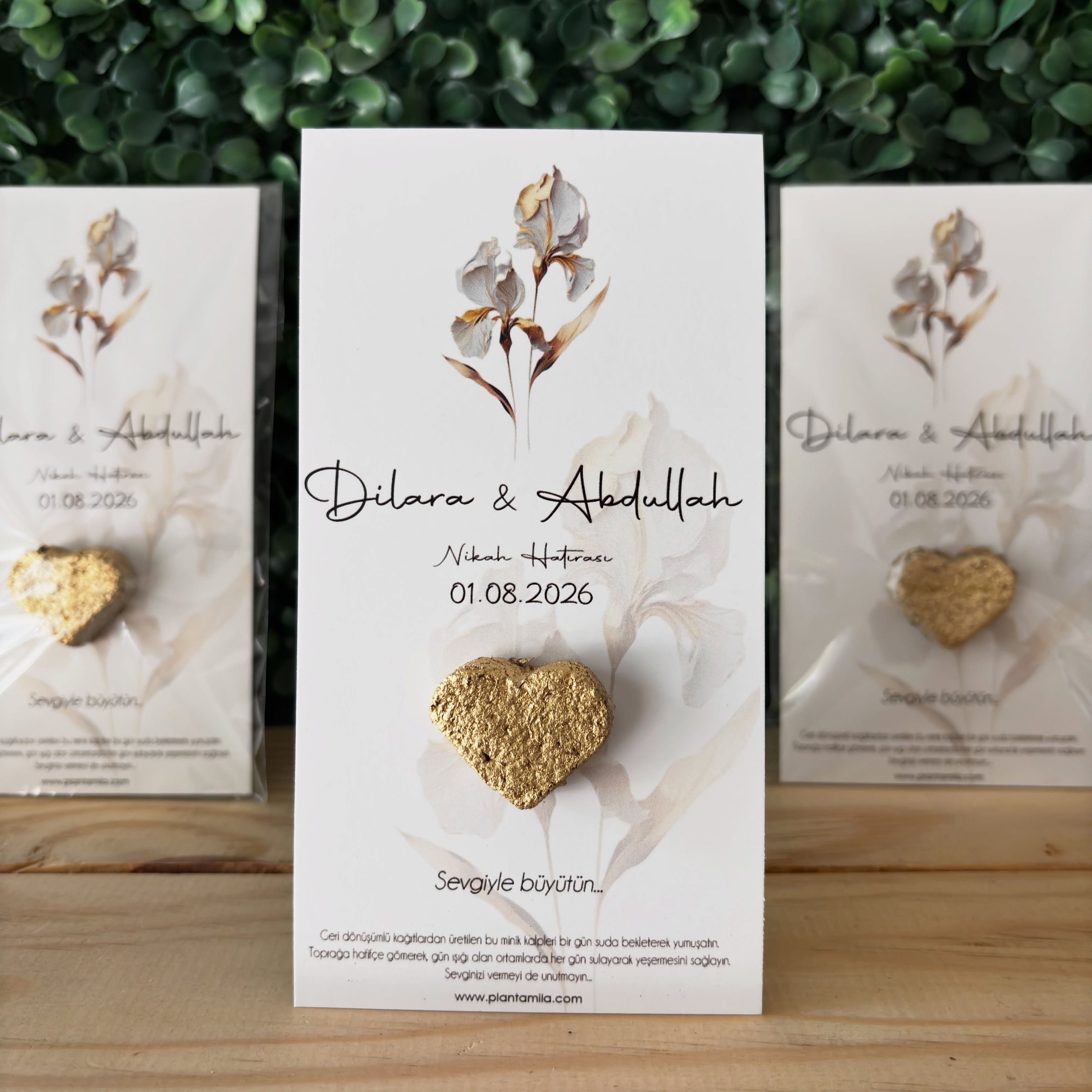Plantamila - Gold Kalpli Beyaz İnce Çiçek Detaylı Tohumlu Kart