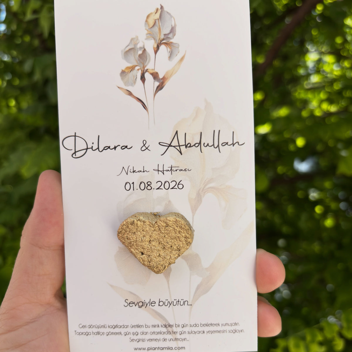 Plantamila - Gold Kalpli Beyaz İnce Çiçek Detaylı Tohumlu Kart