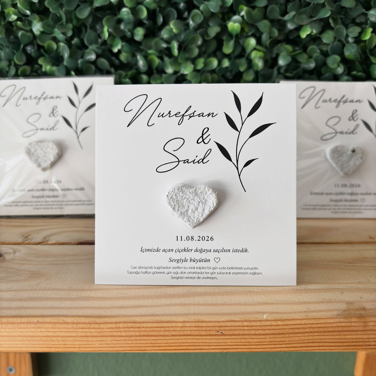Plantamila - Beyaz Minimalist İnce Zeytin Dalı Detaylı Tohum Kartı