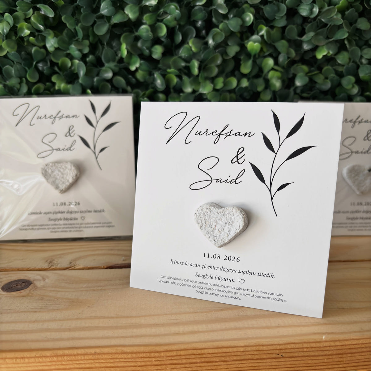 Plantamila - Beyaz Minimalist İnce Zeytin Dalı Detaylı Tohum Kartı