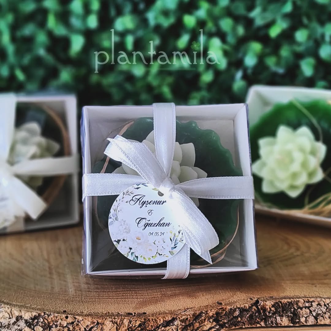 Plantamila - Mum Nikah, Nişan & Kına Hediyelik