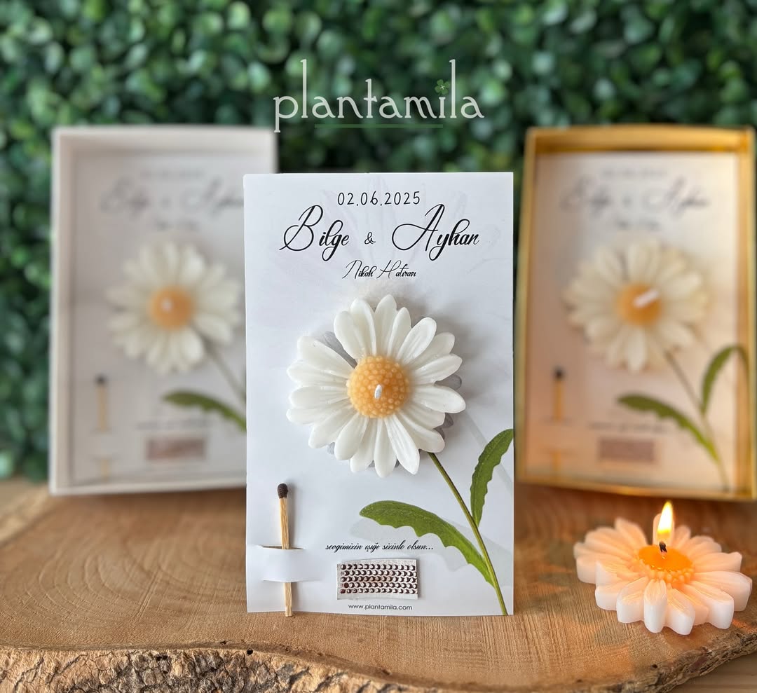Plantamila - Mum Nikah, Nişan & Kına Hediyelik