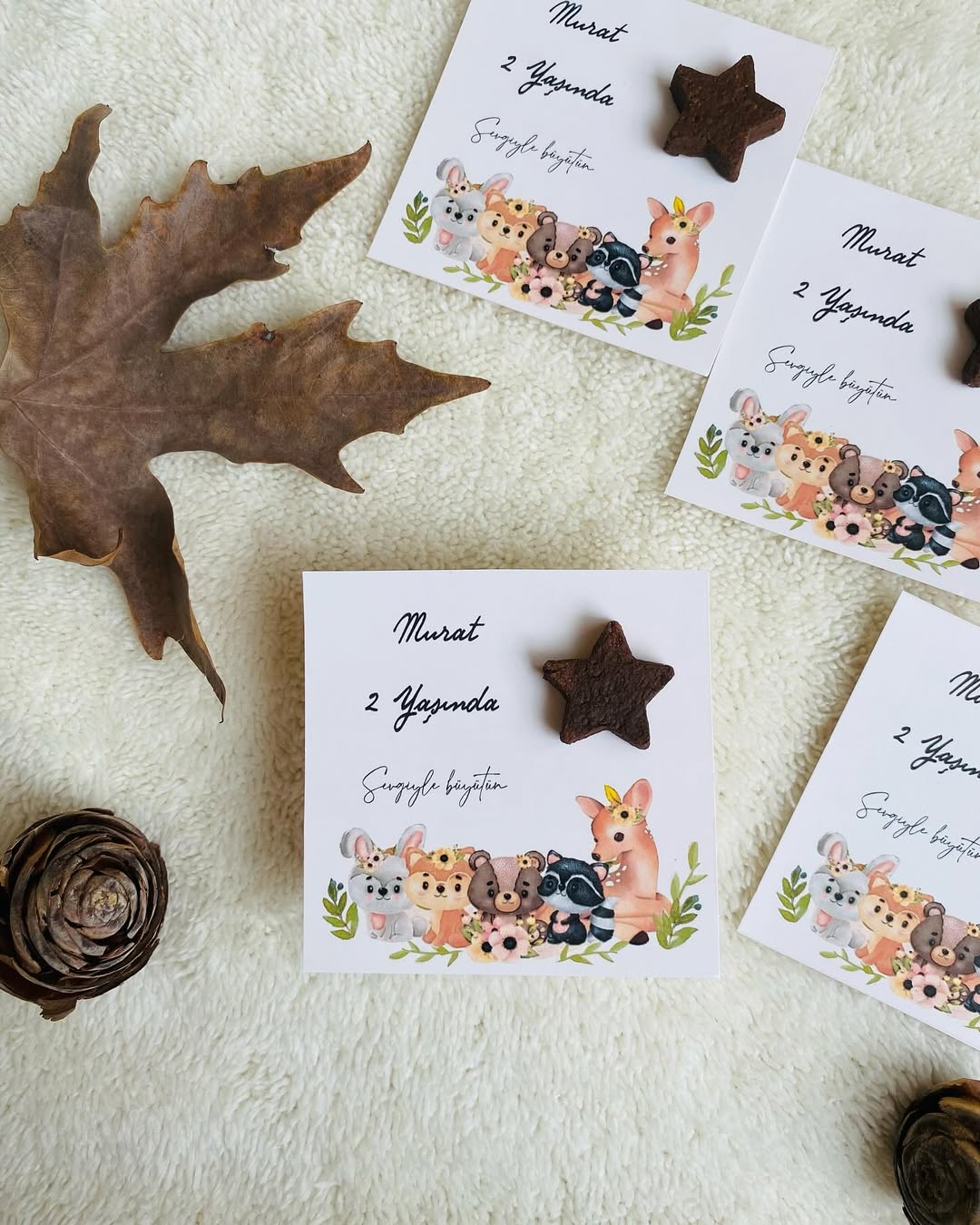 My Design - Sevimli Dostlar Yıldız Detaylı Doğum Günü Tohum Kartı